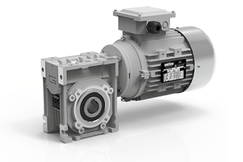 Worm Gear (เฟืองตัวหนอน)
